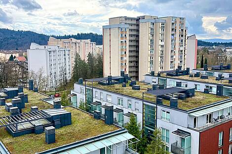 Квартира с тремя комнатами в Шишке: 1