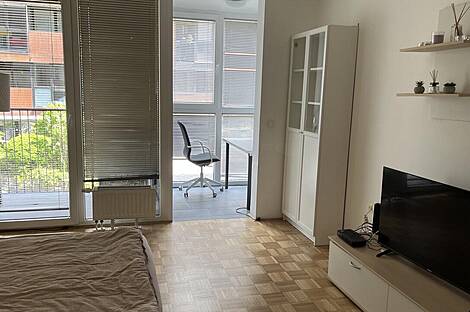 Студия в центральной части города: 1