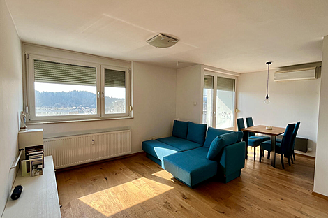 Квартира с двумя комнатами в Шишке: 5