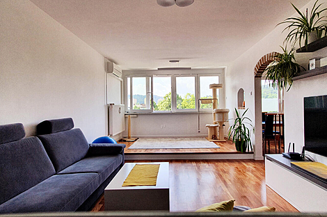 Трехкомнатная квартира в Любляне: 2