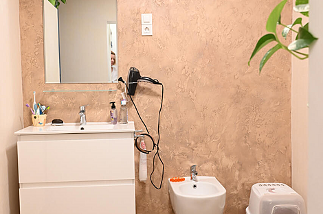 Трехкомнатная квартира в Любляне: 7