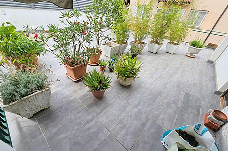 Квартира из трёх комнат Копер: 13