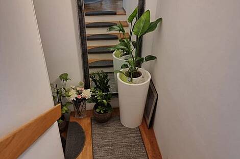 Квартира с тремя комнатами, Копер: 15