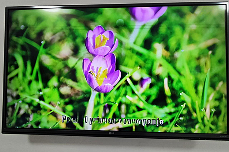 Дом на улице Побешка: 18