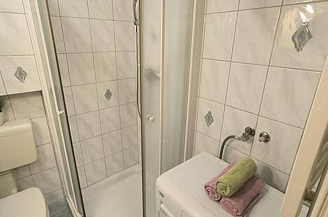 Однокомнатная квартира в районе Шишка: 7