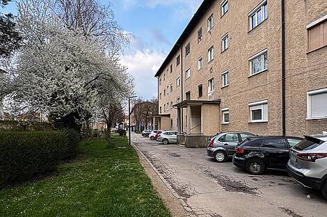 Шишка, 3-комнатная квартира: 17