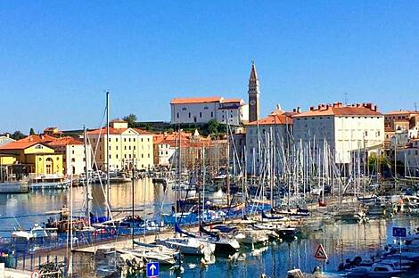 Квартира с более чем 5 комнатами в Пиране: 22