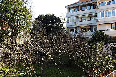 Квартира, 3-комнатная Новая Лучия: 10