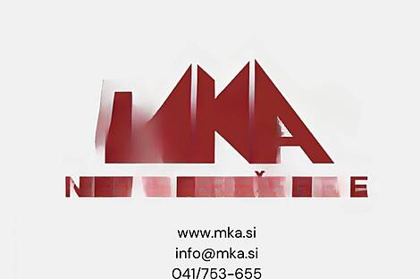 Дом в районе Шишка, Любляна: 2