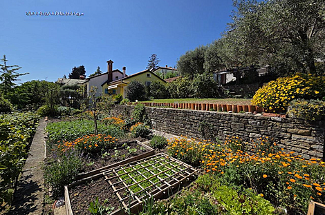 Порторож, дом: 17