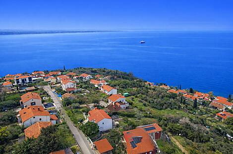 Пиран, дом: 7