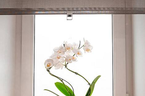 Студия в Изола: 8