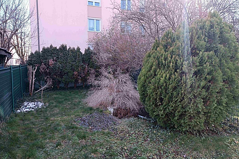 Дом с террасой в Ново Любляне в районе Бежиград: 17