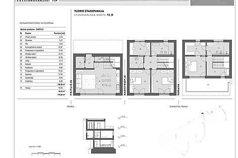 Новое здание с террасой в Любляне, Вич.: 19