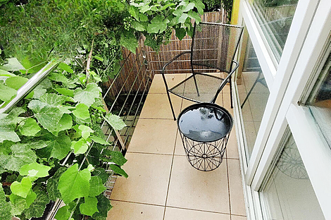 Дом Ёлочка: 4