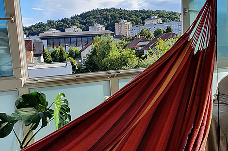 Дом Ёлочка: 6