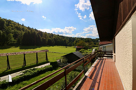 Резиденция Гунцле: 1