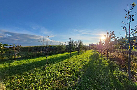 Дом, Любляна, Бежиград, Подгорица.: 4