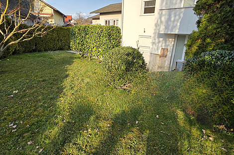 Жилище, Брод: 23