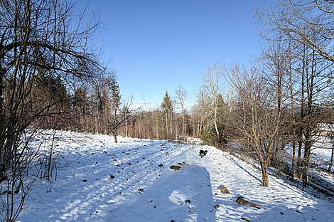 Дом, Явор, Любляна, Добрунье.: 8