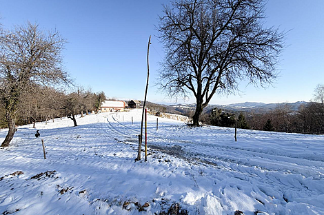 Дом, Явор, Любляна, Добрунье.: 9