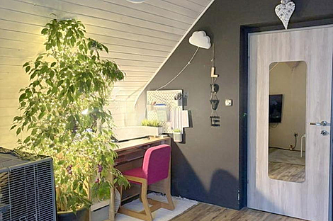 Дом, Зелёная впадина: 11