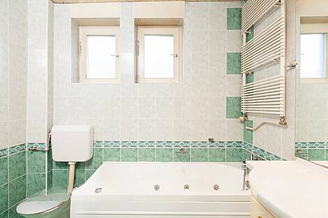 Дом в Ново Блед: 13