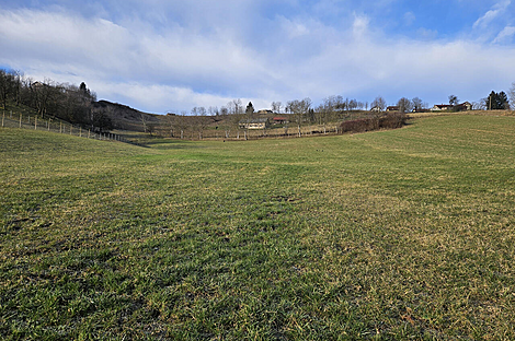 Поместье Кметиянов Долина Яренинская: 18