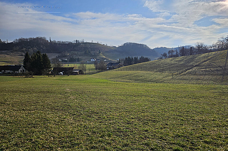 Поместье Кметиянов Долина Яренинская: 20