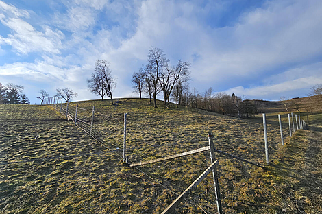 Поместье Кметиянов Долина Яренинская: 22