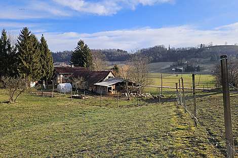 Поместье Кметиянов Долина Яренинская: 23