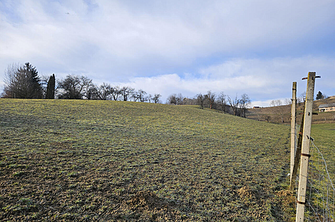 Поместье Кметиянов Долина Яренинская: 24