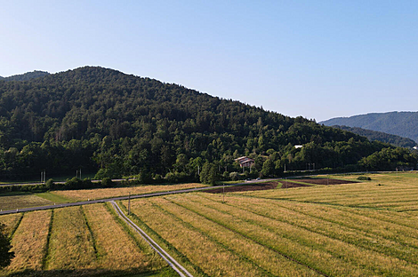 Дом Горичица рядом с Кримом.: 3