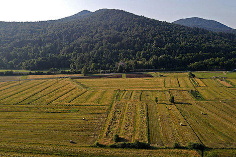 Дом Горичица рядом с Кримом.: 4