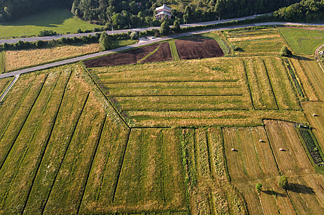 Дом Горичица рядом с Кримом.: 5