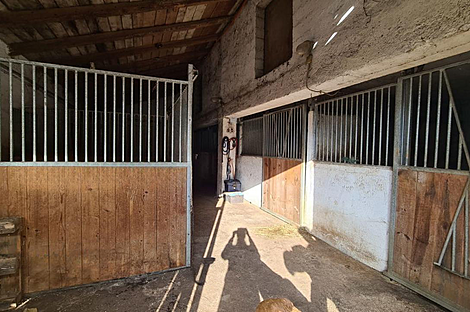 Участок, фермерское хозяйство Сеножечье.: 5