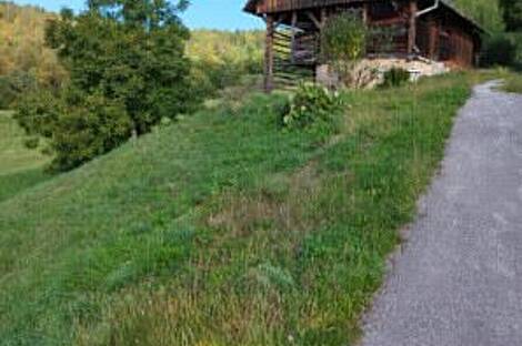 Ваше внимание привлечет усадьба, фермерская усадьба Будна вас.: 5