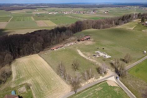 Дворянское поместье, аграрное хозяйство Куршинцы: 1