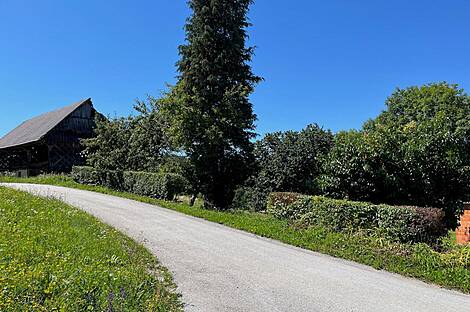 Мыза и хозяйство Верхнее Елене: 6