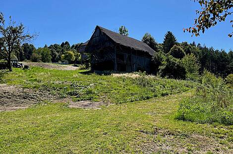 Мыза и хозяйство Верхнее Елене: 7