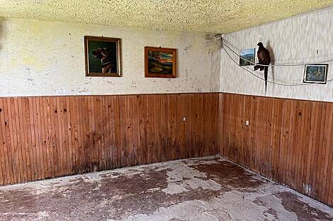 Мыза и хозяйство Верхнее Елене: 13