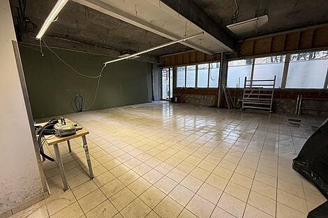 Кабинетное пространство Шишка: 6