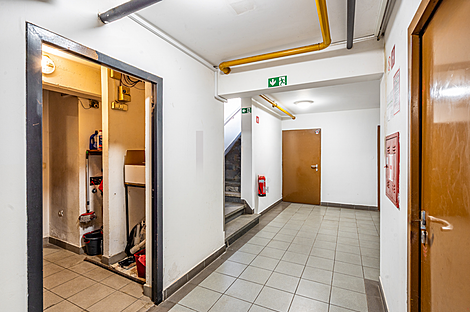 Торговое помещение в Мосте: 13