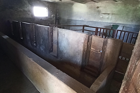 Жилище, Гибина: 15