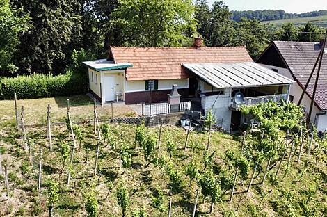 Бельский Врх, дом: 1