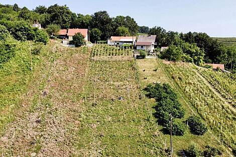 Бельский Врх, дом: 9