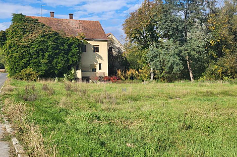 Дом в поселке Середица: 1