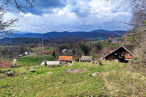 Градник Дом: 15