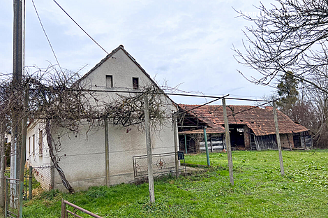 Дом Петишовцев: 1