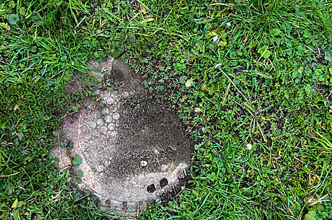 Дом Петишовцев: 10